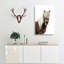 Icelandic Horse - Wrapped Canvas-55359551