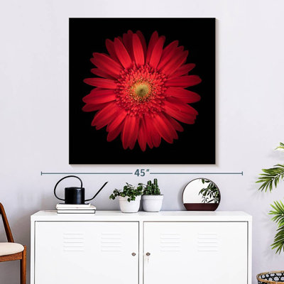 Harnek Bright Red Daisy