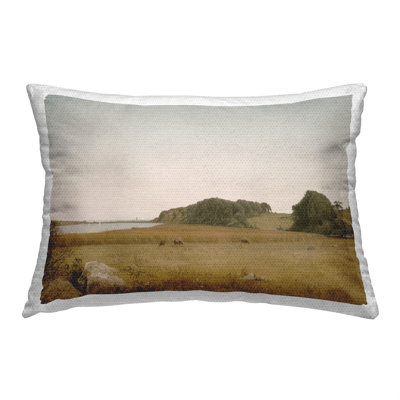 Polyester Lumbar Rectangular Indoor/Outdoor Pillow Cover & Insert by Lettered and Lined