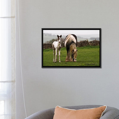 Chevaux, reproduction de photo sur toile