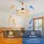 Ventilateur de plafond 48 "à intensité variable avec lumières DEL et télécommande-865544060
