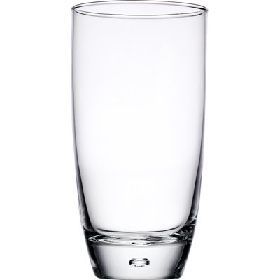 Hannahelizabeth 16oz. Highball Glass Set