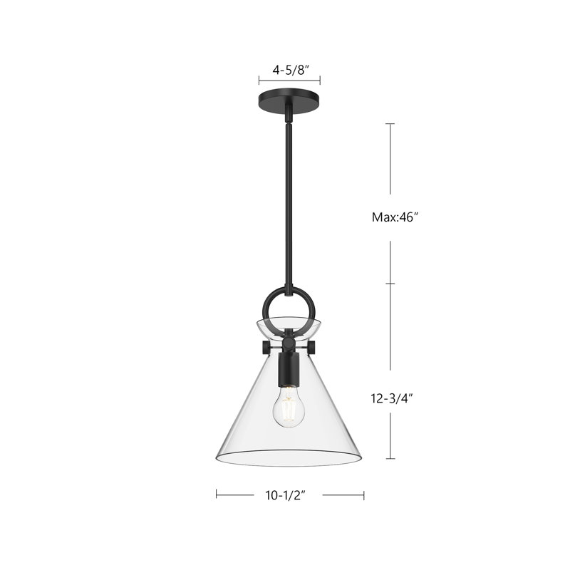 Luminaire suspendu conique à 1 lumière Tiney, H 12,75 po x l 10,5 po x P 10,5 po, Noir mat / transparent