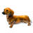 DOG DASH HOUND