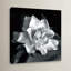 "Gardenia" par Debra VanS vêtementsingen, photographie de fleur sur toile tendue-1731950402-1665954837-1635099189