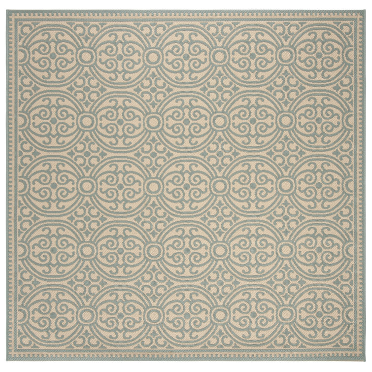 Burnell Performance Oriental Indoor/Outdoor Area Rug