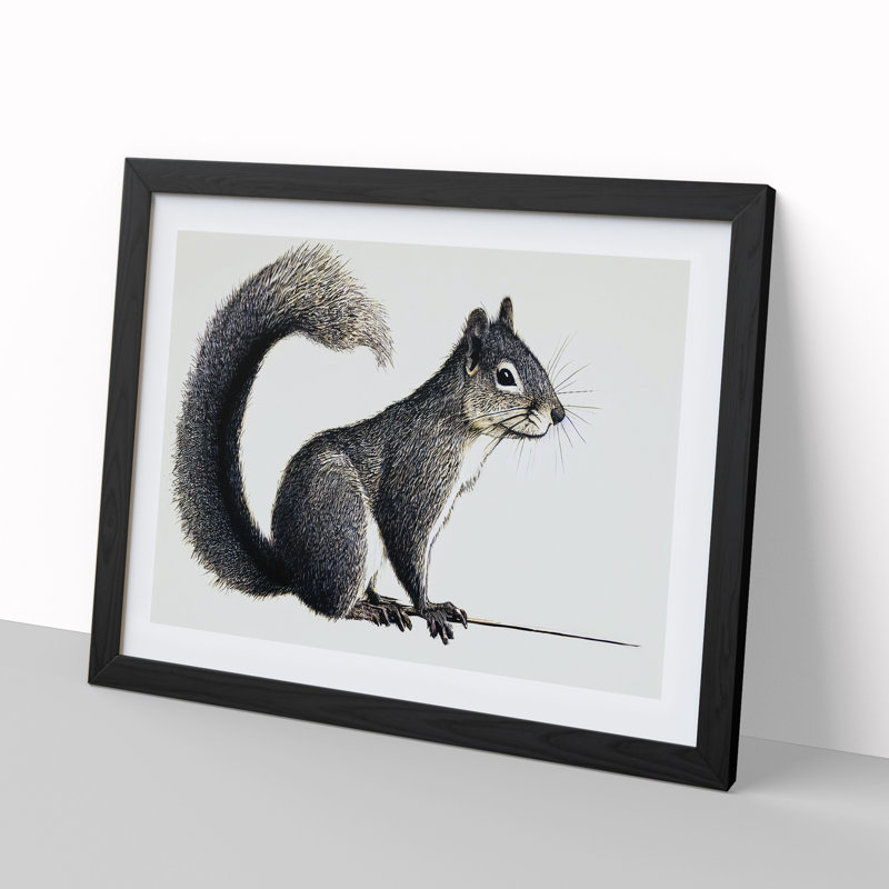 A Pleasant Squirrel - Single Picture Frame Print, Black Framed, 46cm H x 64cm W x 2cm D