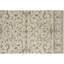Elegance Oriental Area Rug in Ivory