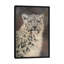 « snow leopard portrait », impression sur toile-33109861-72407149-72407151