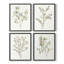 «Simple Sprig I», ensemble de 4 reproductions encadrées-855006132-855006138