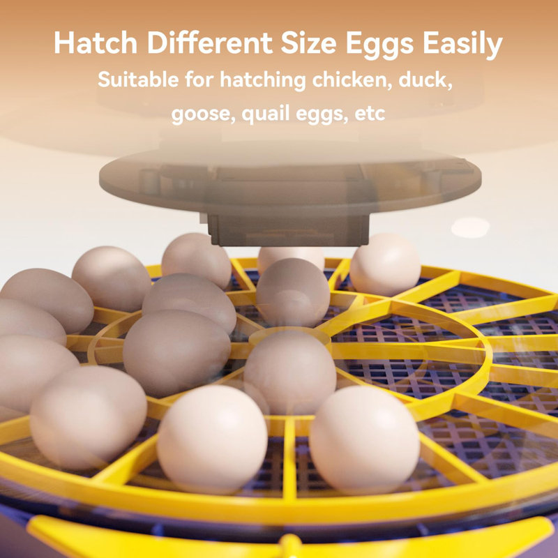 21 Egg Incubator, App Record Temperature and Humidity Data During Incubation, Incubator with Automatic Egg Turning and Humidity Control, Hold 21 Chicken Eggs (Blue)