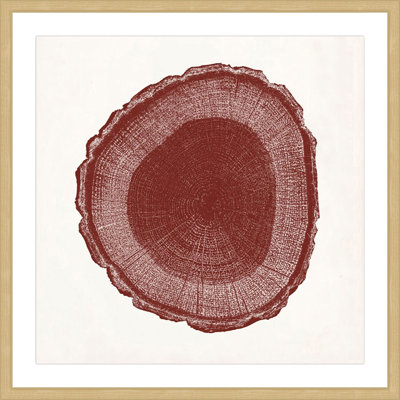 «Tree Ring I», reproduction encadrée