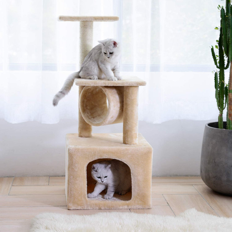 Arbre à chat et tour à chat 37 pouces pour chatons et chatons