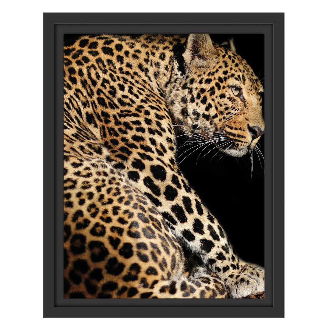 Gerahmtes Wandbild Anmutiger Leopard