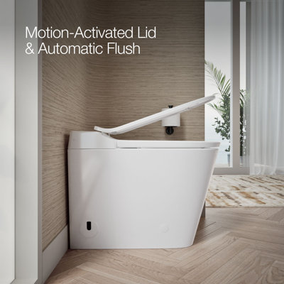 Leap Lite One-Piece Elongated Toilet, Dual-Flush