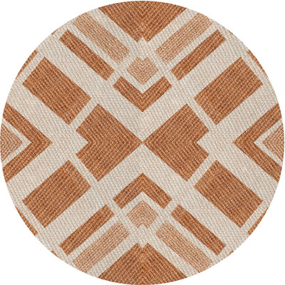 Indoor Rug