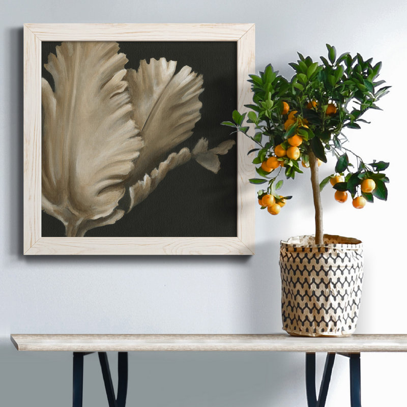 «Classical Blooms I», art mural sur toile, H 35,5 po x l 35,5 po x P 1,5 po, Blanc