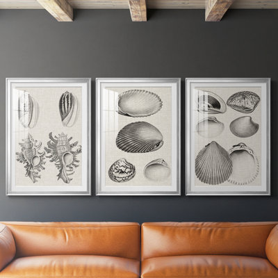 Charbon et coquilles de lin VII
