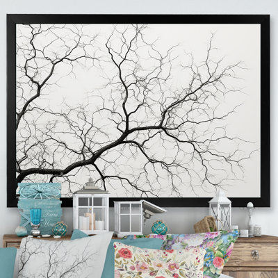 «Monocrhome Sycamore Tree Solitude», reproduction sur toile