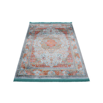 Desna Oriental Area Rug