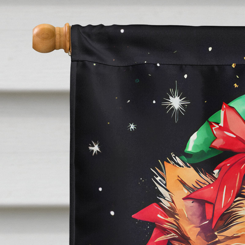 Drapeau de jardin en polyester à 2 faces, H 40 po x l 28 po