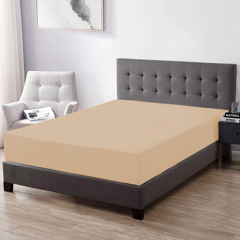 Egyptian Cotton Sateen Fitted Sheet, Twin, Champagne