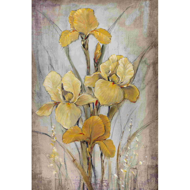 " Golden Irises I " by Timothy O' Toole, 18" H x 12" W  