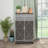 Mirrored Cabinet With Double Door Shoe Storage - Brown And Silver, Frosted Glass Silver Colored,