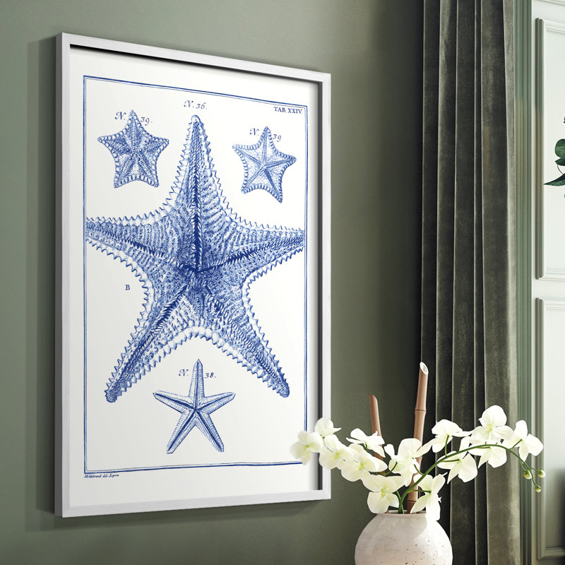 «Blue Sea Stars», reproduction encadrée en bois massif, Blanc, H 28 po x l 22 po