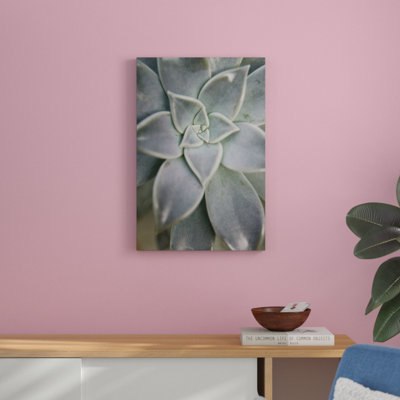 Hanging Garden Succulent I by Jason Johnson - Photograph Print