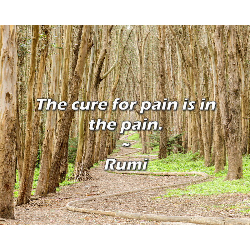 Rumi Quote: «The remède contre la douleur est dans la douleur»., H 15 po x l 18 po