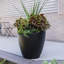 Marazzi Plastic Pot Planter-197888332-194242588