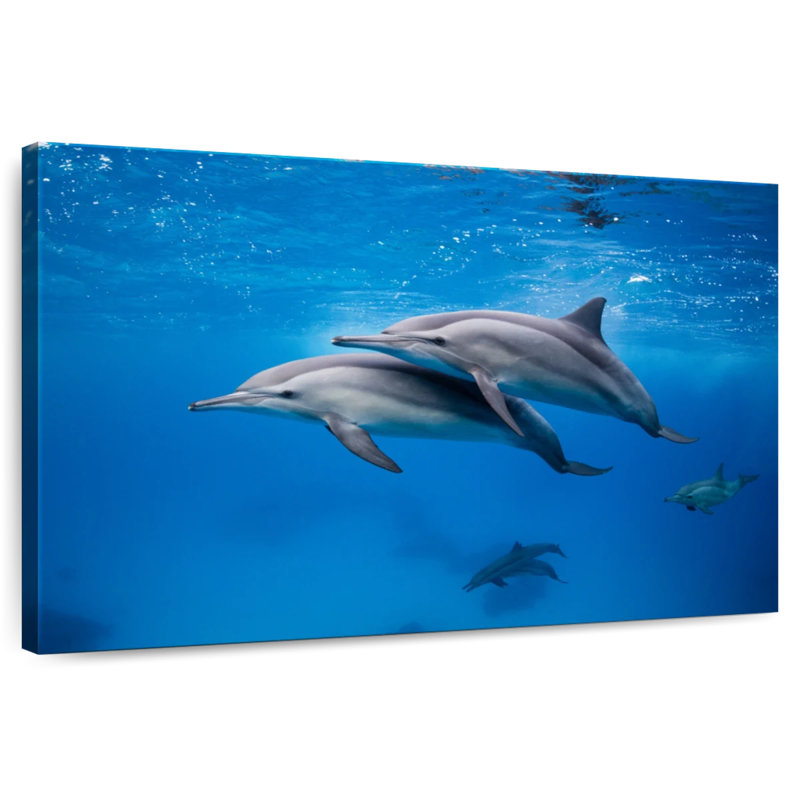 Brampt Swimming Dolphin Pair, 8" H x 12" W