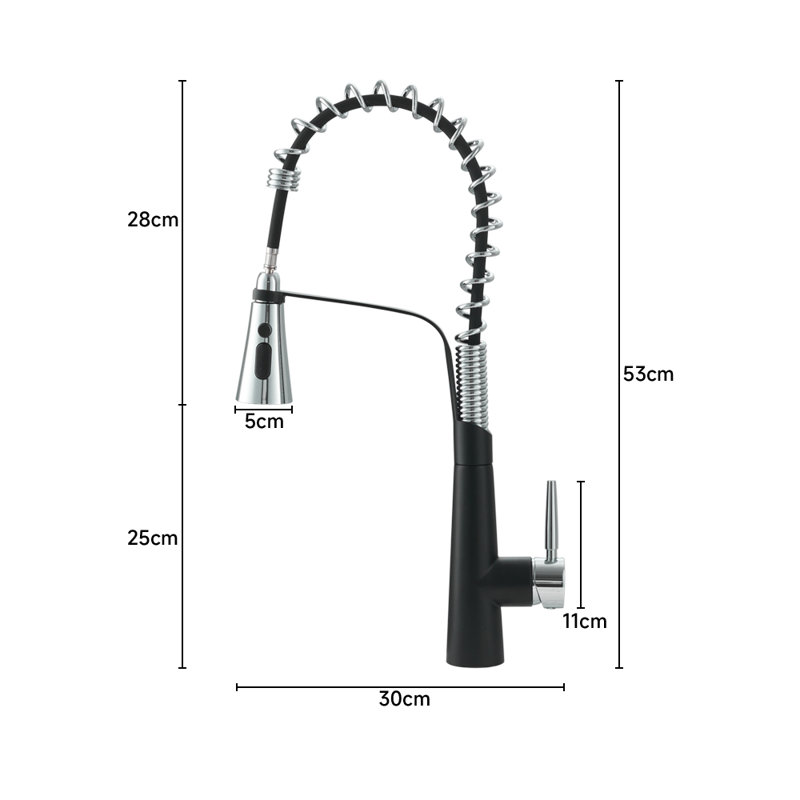 Breeins Touch Kitchen Faucet Side Spray, Silver/Black