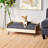 DOG BED