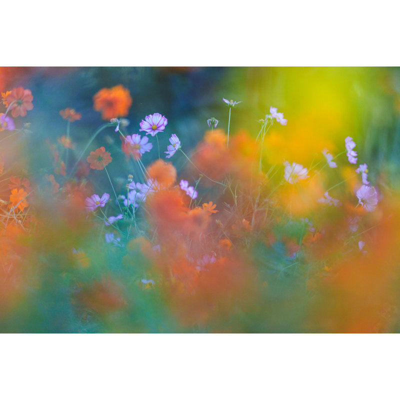 Wrapped Canvas Print, 60.96 cm H x 91.44 cm W