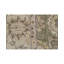 Wool Oriental Area Rug
