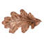 Leaves Novelty Pull-9086654