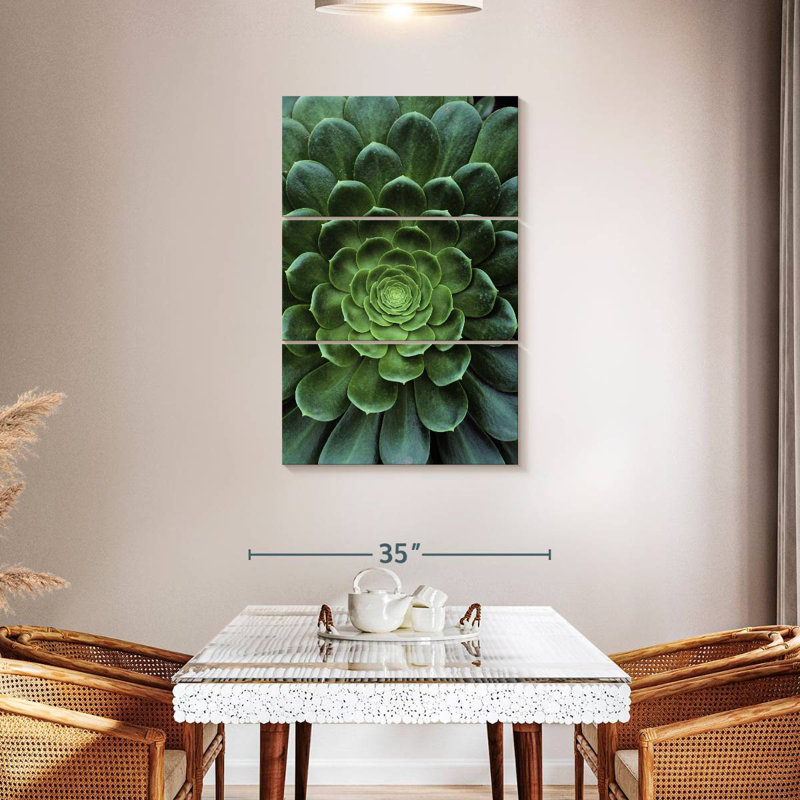 Harnek Flowerlike Succulent, 45" H x 28" W