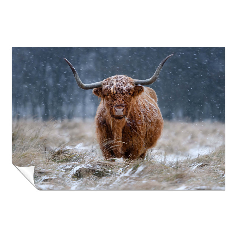 Brown Highland Cow In Snow Fields - No Frame Print, 31cm H x 20cm W