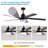 65 Inch Black Ceiling Fan with Light, 5-Blade Dimmable LED Ceiling Fan with Remote Control, Modern Quiet Design for Living Room and Bedroom (Silent/6-Speed/Reversible/DC Motor)