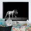 Lion africain en noir et blanc - Photographie sur toile-839650151-839650142