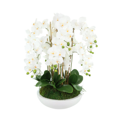 Orchid Arrangement in Round Fiberstone Pot