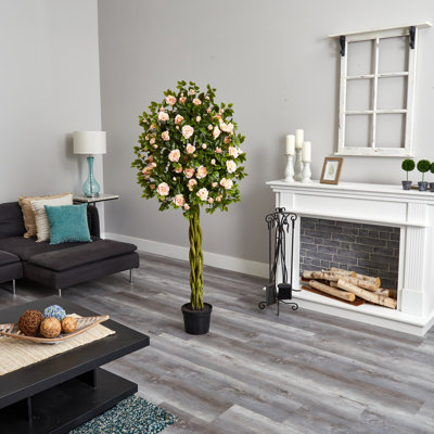 Topiaire 65 po Rose Ficus
