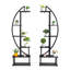 Support pour plante Free Form