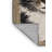 Washable American Wirehair Cats Area Rug-1401086969