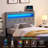 Deantae Upholstered Headboard-1177243377
