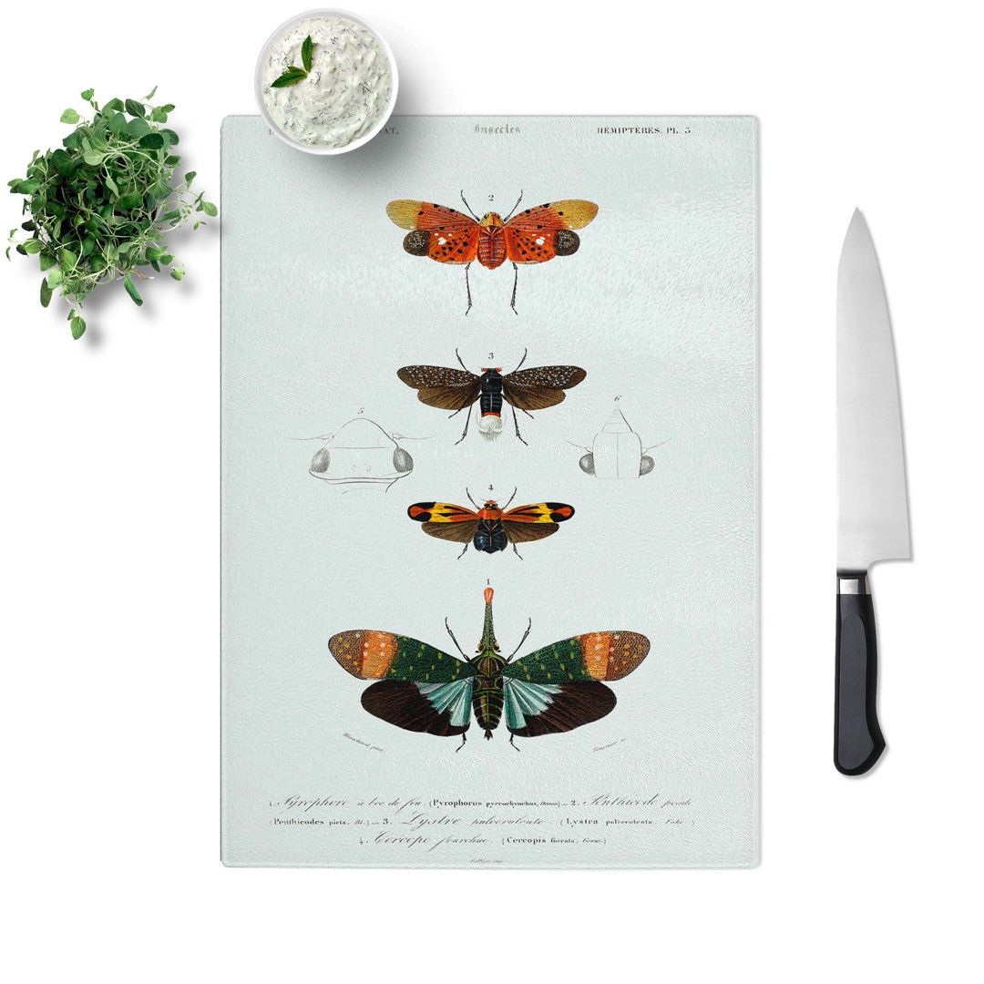 Glass Moth Illustrations Pl. 5 by Charles D' Orbigny Chopping Board