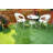 12'' L x 12'' W Plastic Interlocking Deck Tile in Green