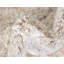 Dekanye Shag Area Rug-539460535